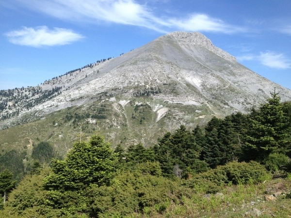Steni